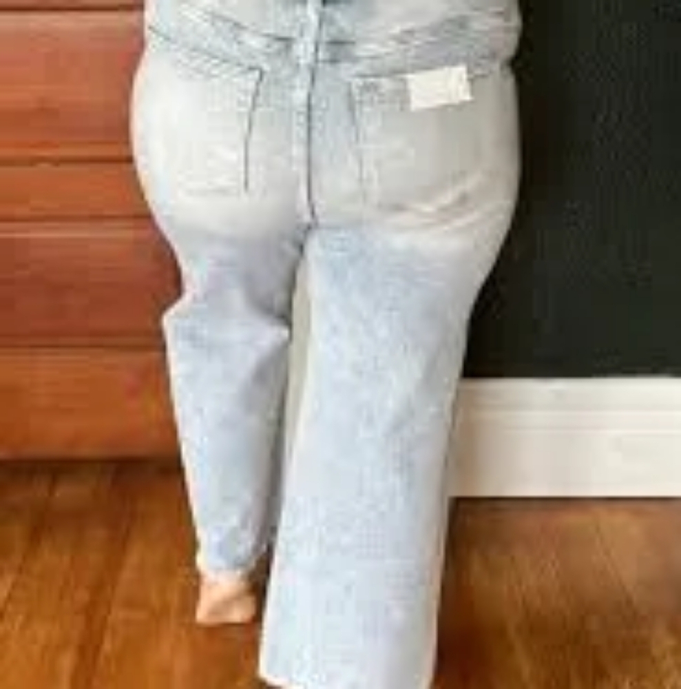 Risen denim high rise fray wide leg denim plus